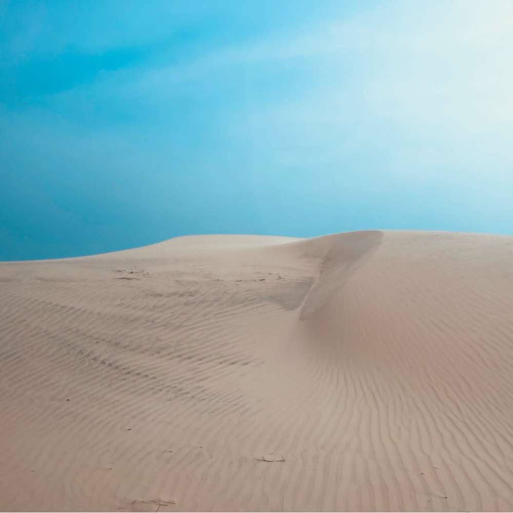 Desert Landscape